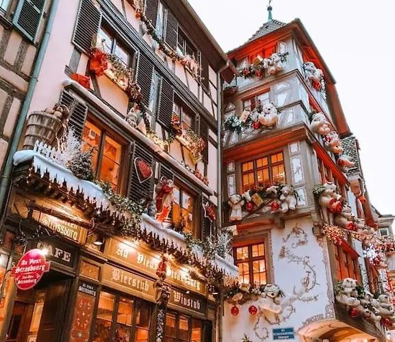 Agreable Et Spacieux Appartement