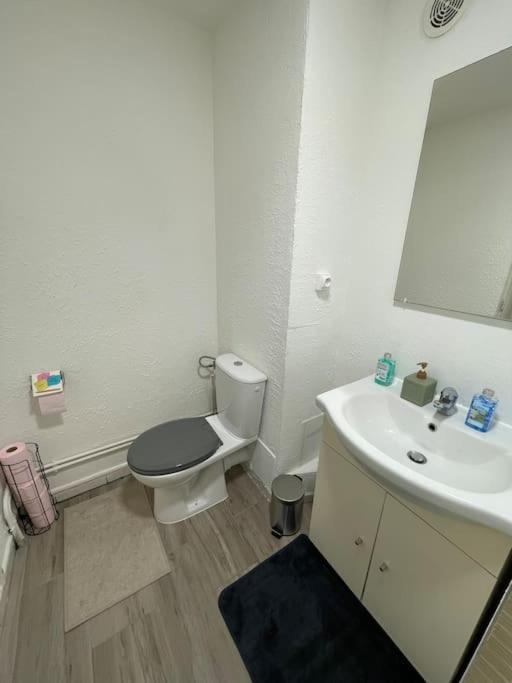Agreable Et Spacieux Apartment Schiltigheim