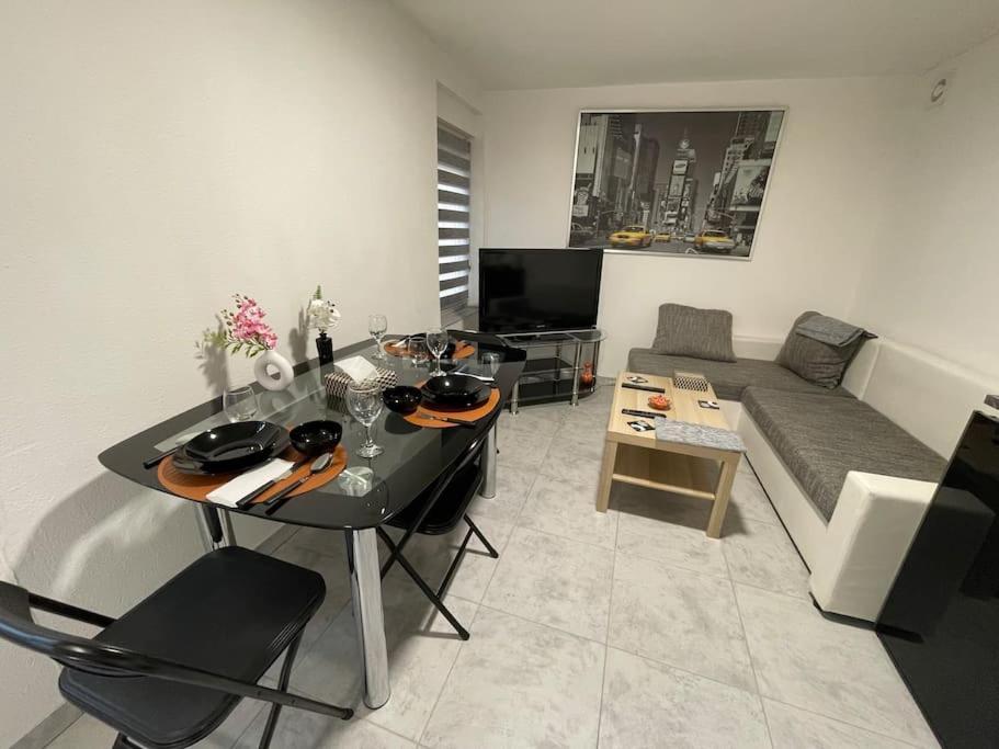 Agreable Et Spacieux Schiltigheim